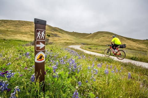 A cyclist rides a windy path through grasslands with purple flowers marked by an Anza Trail sign