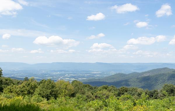 Color photo showing green trees surround an overlook looking down into a valley below.