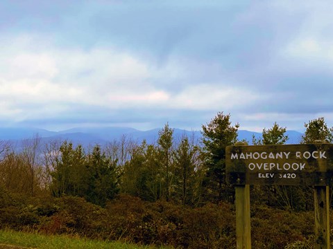 Mountains rise in the distance past a mixed deciduous/evergreen forest as seen from Mahogany Rock.