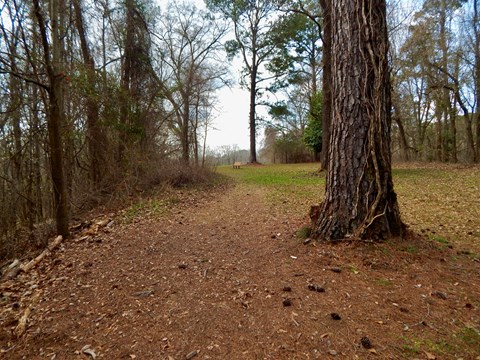 A grassy path through woods with a bench in the distance.