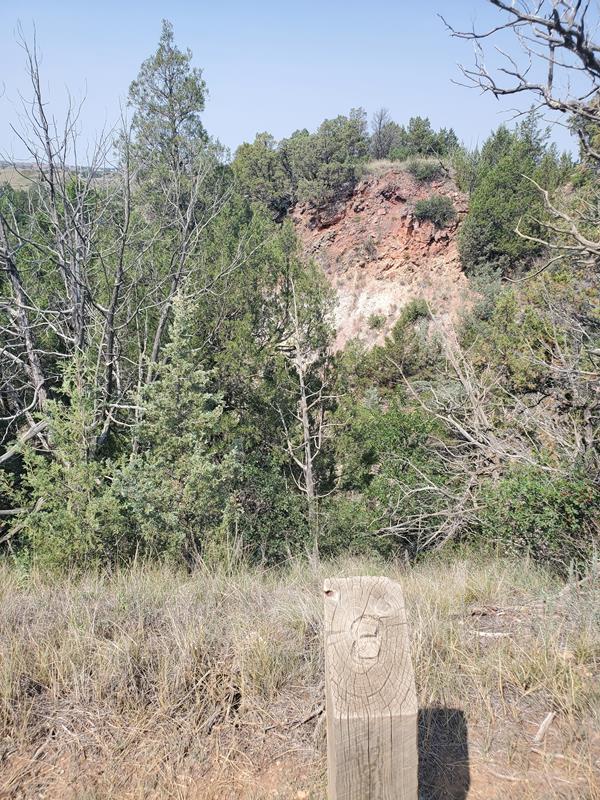 A view down into a canyon, with red rock visible through trees.