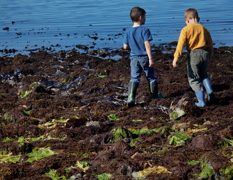 Two young boys walking over a tidal flat at low tide