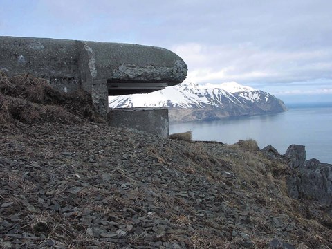 a concrete structure overlooks a harbor
