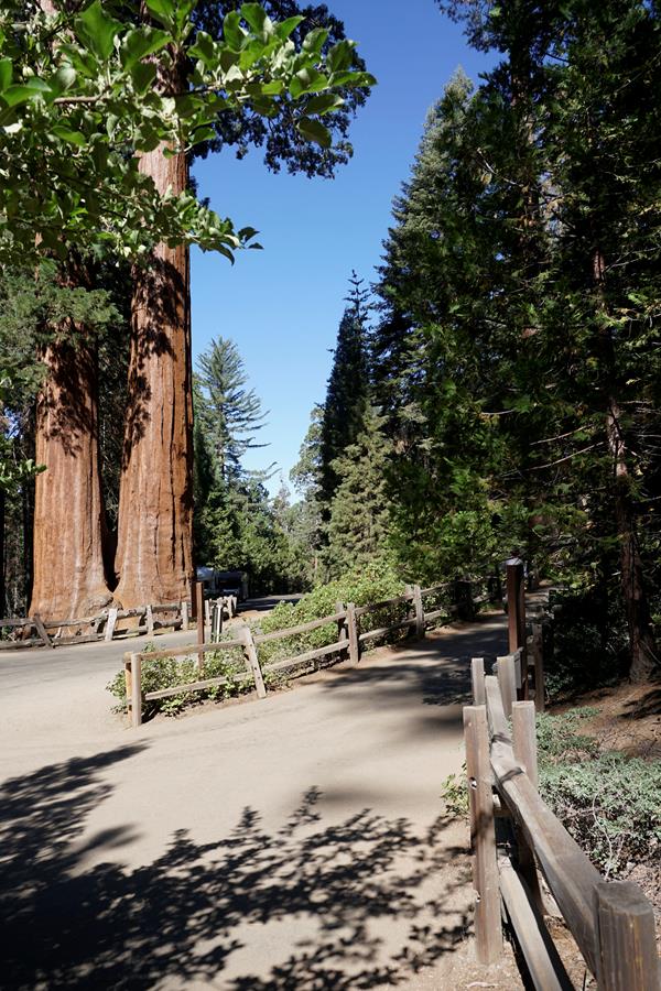An aspalt path forks in two directions. The left is to the parking lot , the right is to the trail