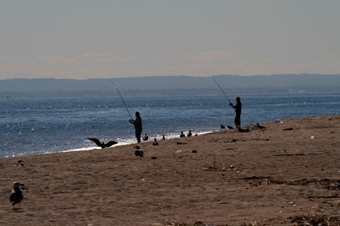 Silhouette of fishermen on the beach