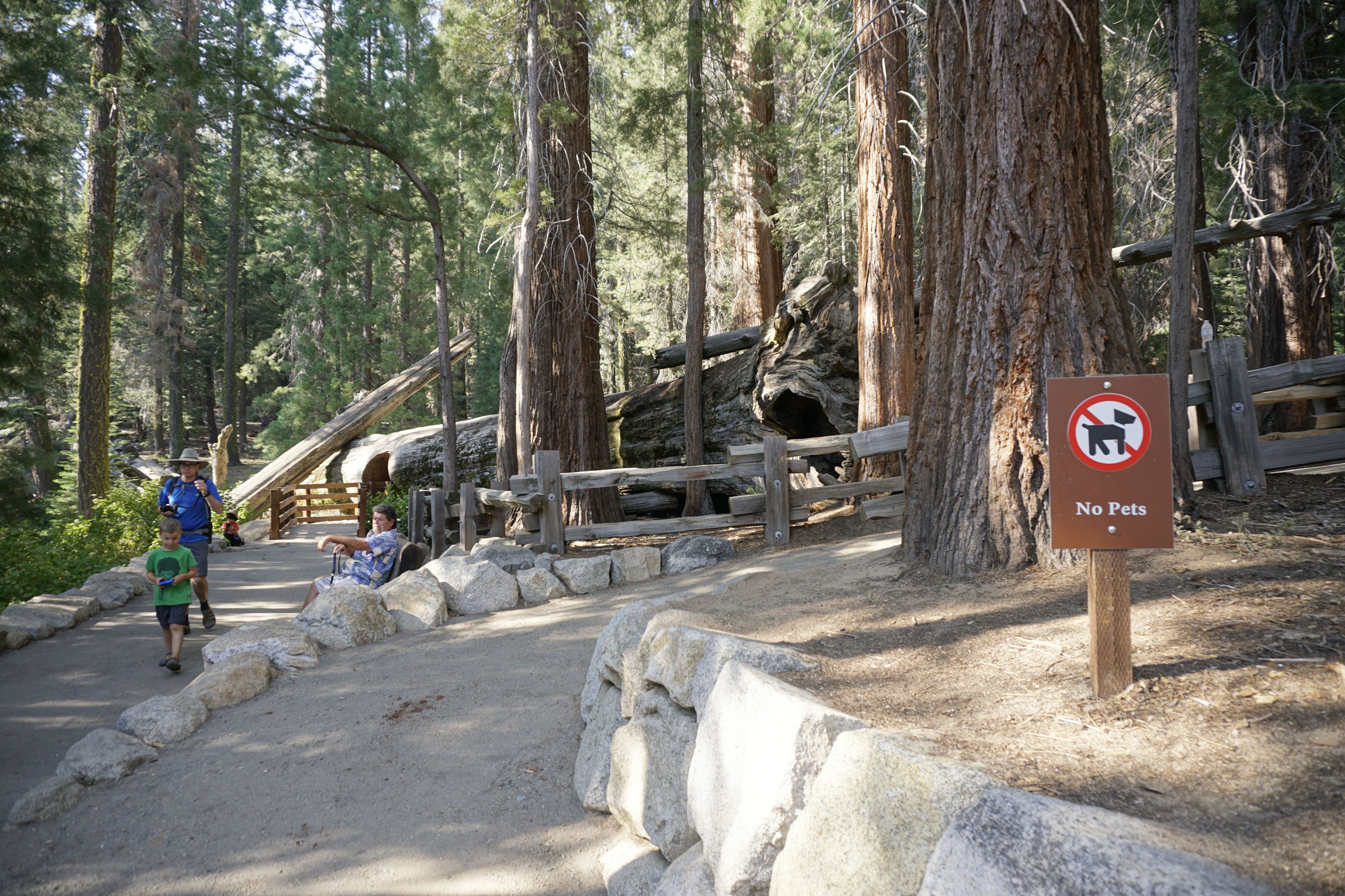 General Sherman Tree Accessible Trailhead