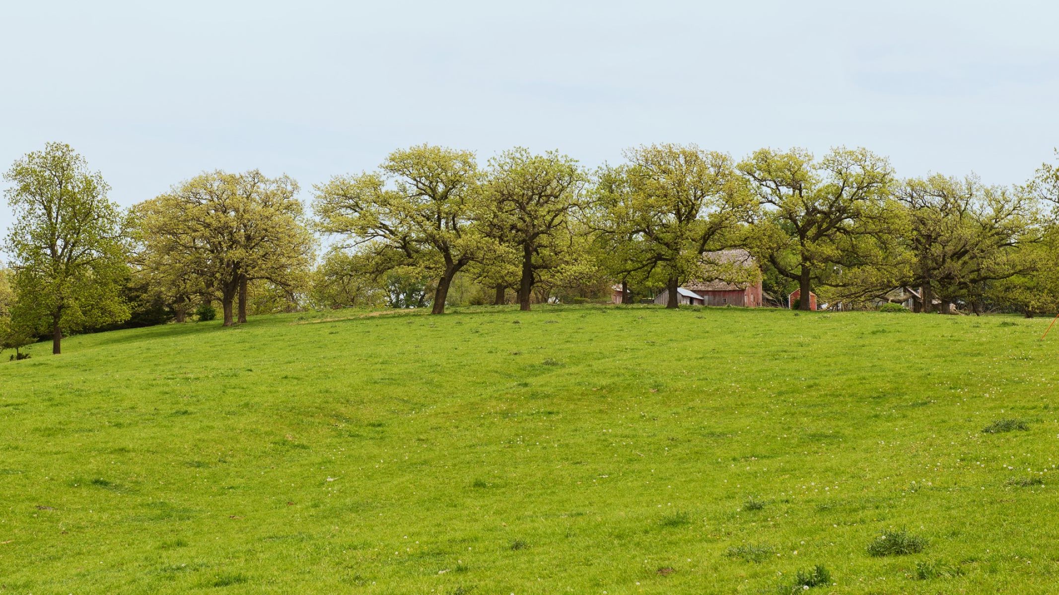 Mormon Trail County Park and Pote Farm Swales