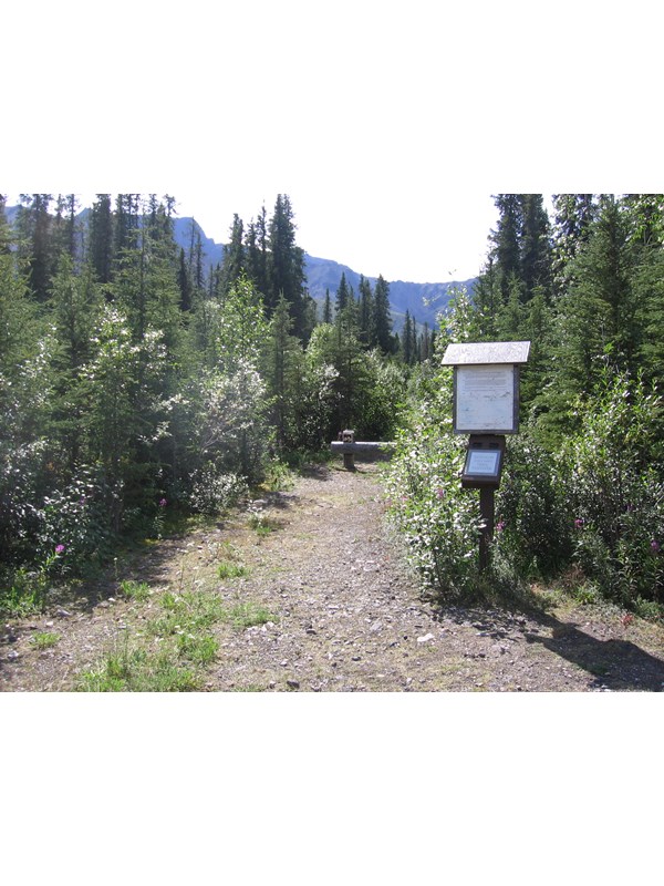 Skookum Volcano Trailhead