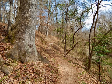 A dirt trail winding up a hill with a small drop-off on one side.