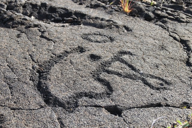 Petroglyph of a human figure in gray rock