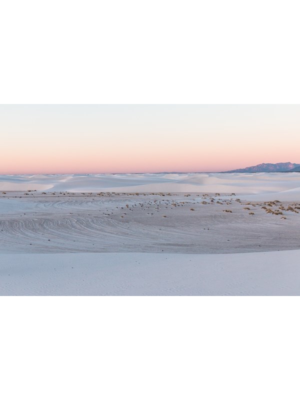 A pink sky at dusk over an interdune area