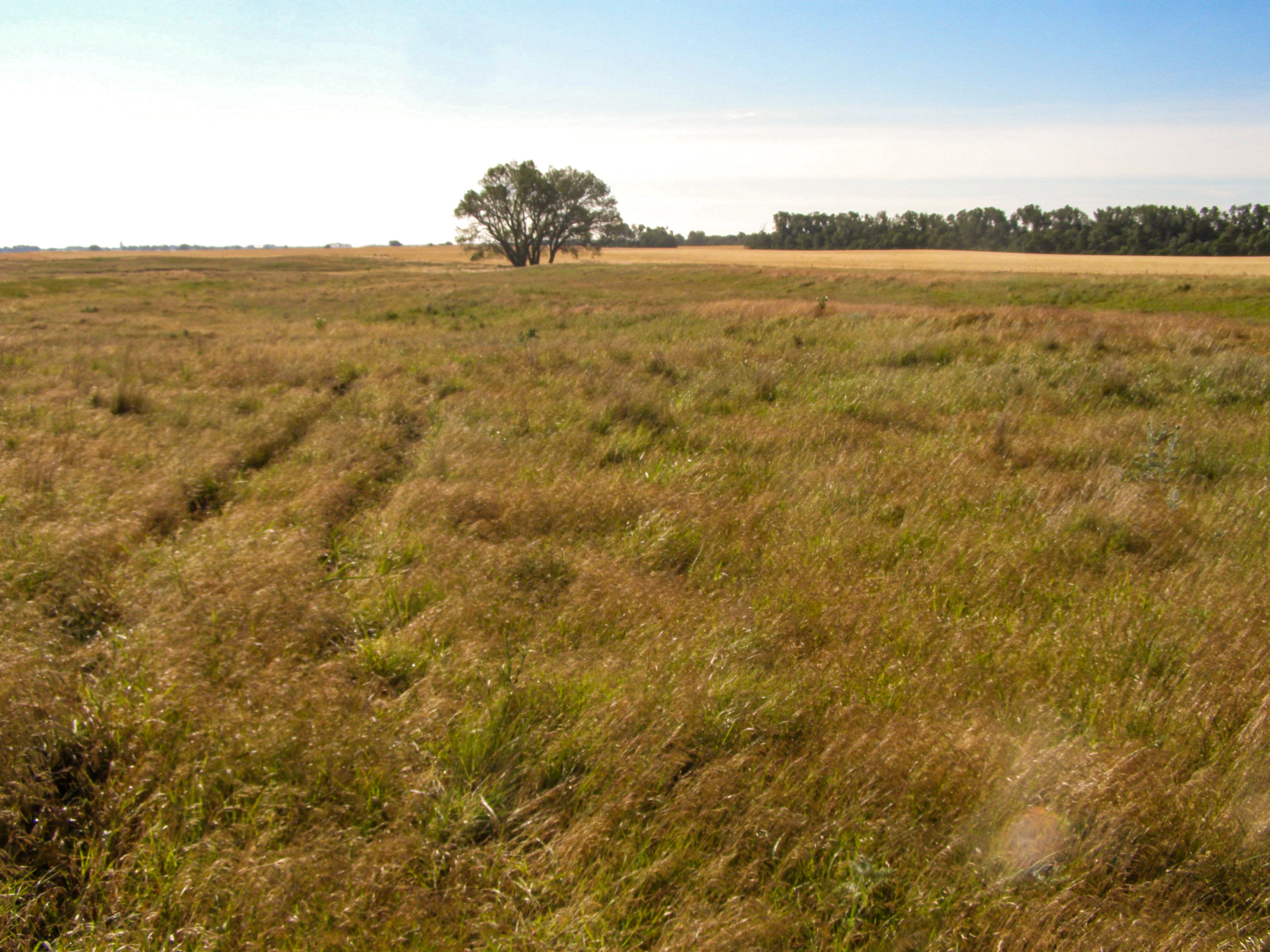 View Santa Fe Trail Ruts