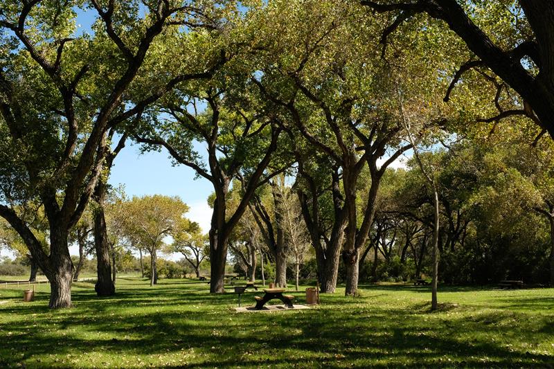 Rattlesnake Springs Picnic Area