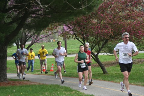 runners on a paved path