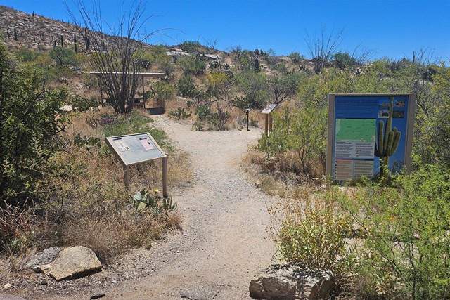 Wide dirt path curving to the left with information signs on either side