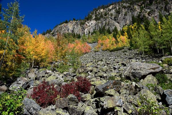 bright orange and yellow leaves dot trees along a mountain cliff