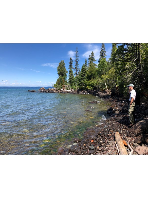 A person stands on a rocky beach next to a lake with a forest in the background.