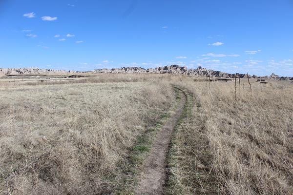 Badlands buttes extend into the horizon with prairie grasses interspersed.