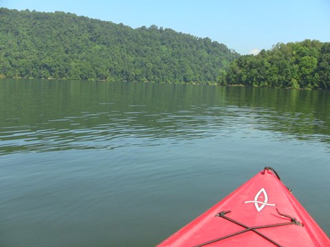 bow of a kayak on flatwater surrounded by forest