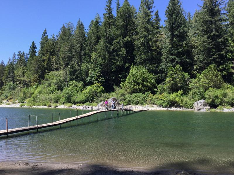 Walk the Stout Memorial Grove Trail