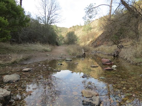 A shallow rocky creek crossing over a dirt trail