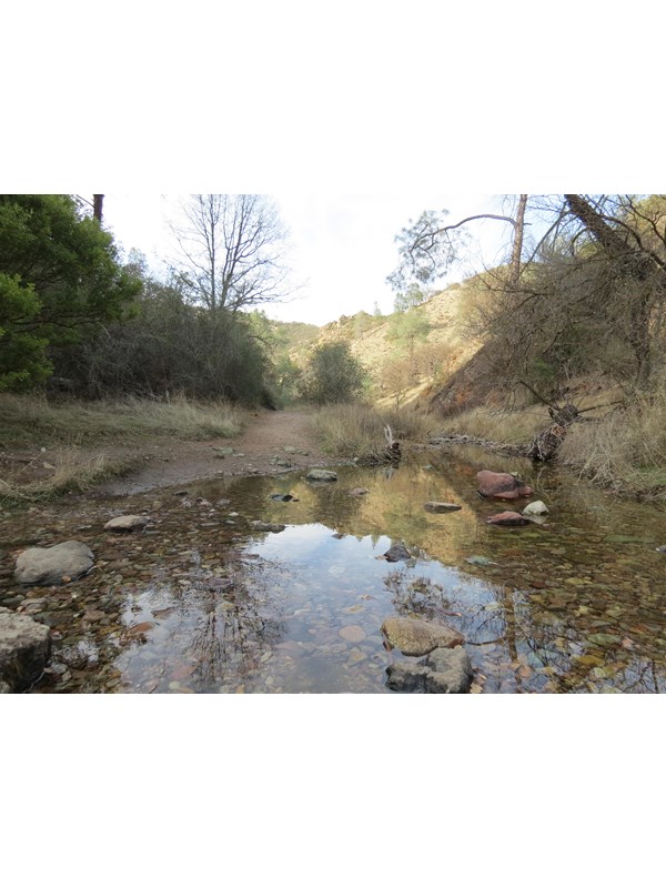 A shallow rocky creek crossing over a dirt trail