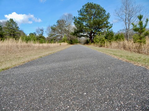 A close-up shot of one of the biking trails in the park.
