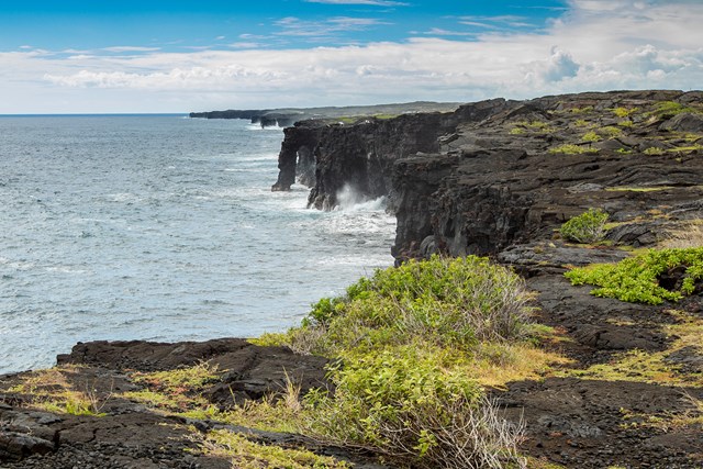 A sea arch extending into the ocean from black cliffs with a bush in the foreground