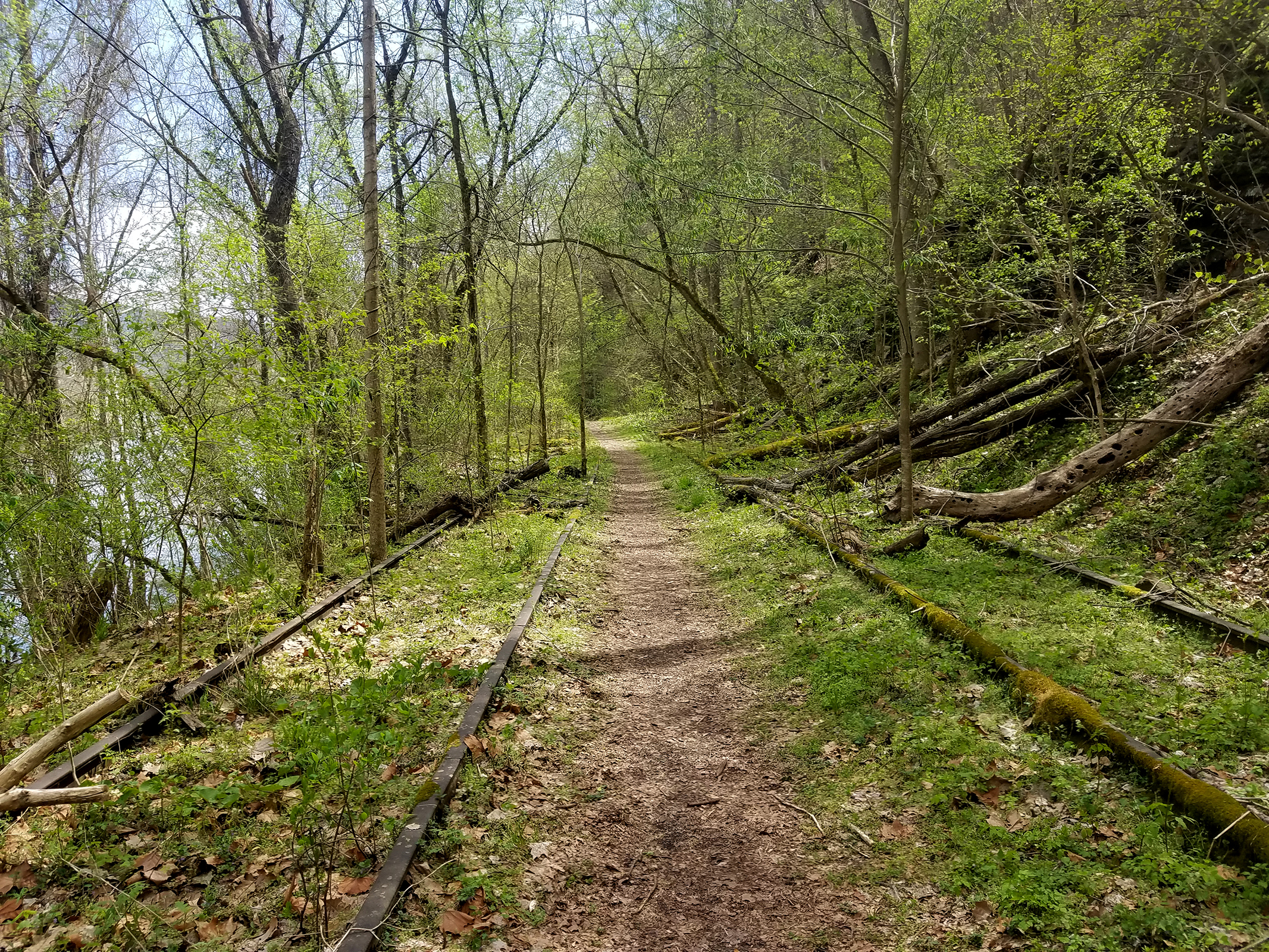 Southside Trail