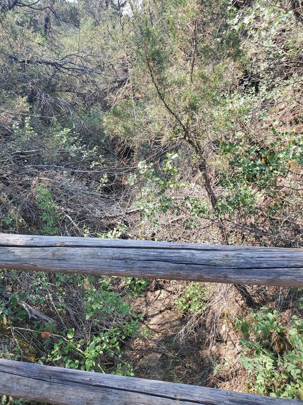 A view down a dry, overgrown stream bed from a wooden bridge.