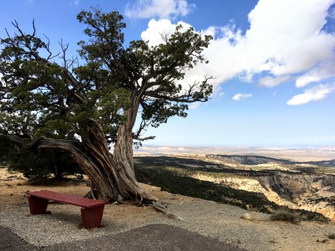 A bench beside a paved path provides views of the canyons surrounding Plug Hat Trail.