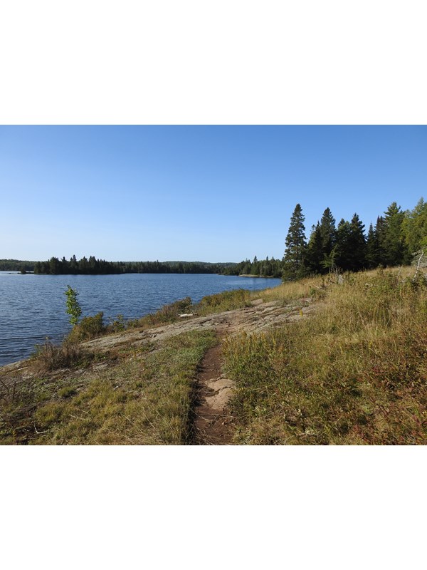 A trail by a small hill that leads to a lake. Forest in the distance.