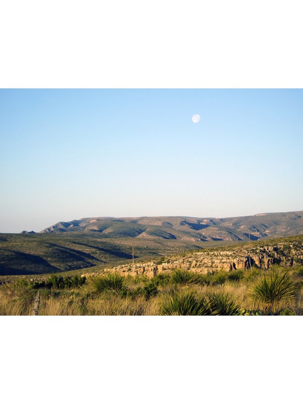A photo of the Chihuahuan Desert along the Juniper Ridge Trail.