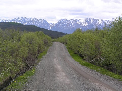 McCarthy Road