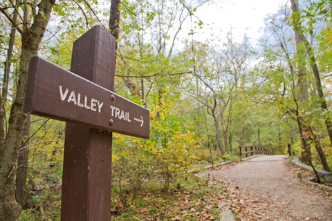 A brown side with white lettering labeled "Valley Trail". Green Trees and a trail are on the right