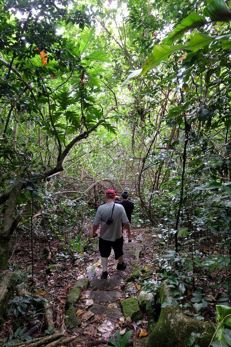 Lower Sauma Ridge Trail