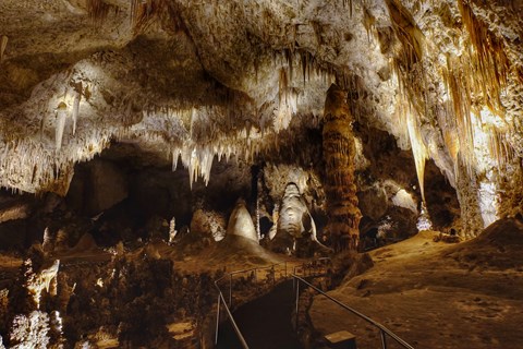 A photo of the Big Room with thousands of formations.