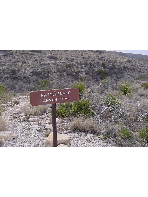 Photo of the Rattlesnake Canyon Trail sign with desert plants in the background.