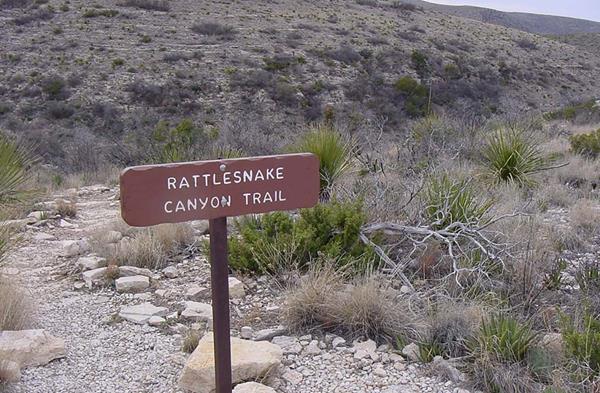 Photo of the Rattlesnake Canyon Trail sign with desert plants in the background.