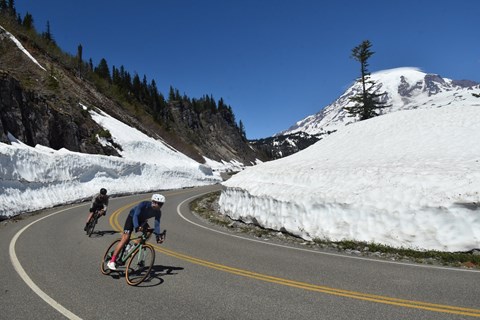 Two bicyclists descend a steeply curving road bordered by snow banks.