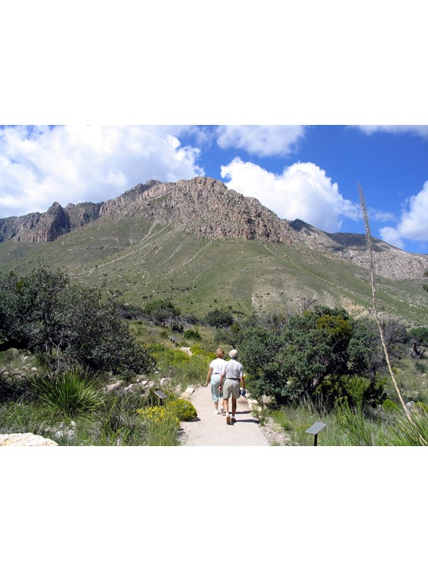 Two people walk a paved path through a bright desert landscape