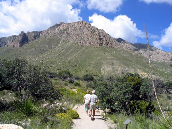 Two people walk a paved path through a bright desert landscape