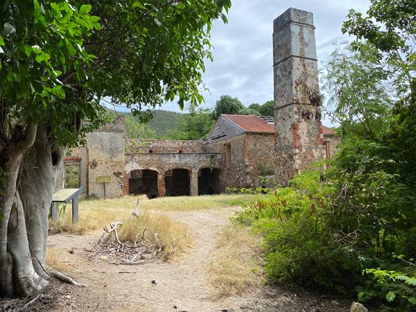 Tall trees frame a large factory built of stone and brink.