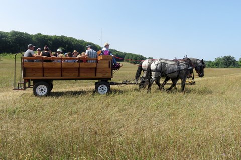 A horse team pulls a wagon of people on a wagon ride.
