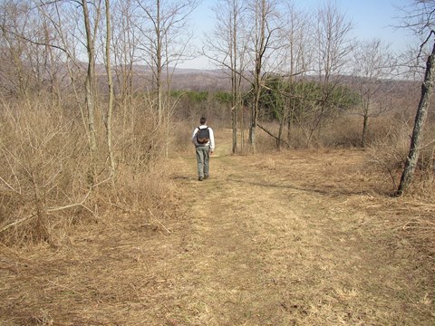 Hiker on a wide mowed trail in early spring.