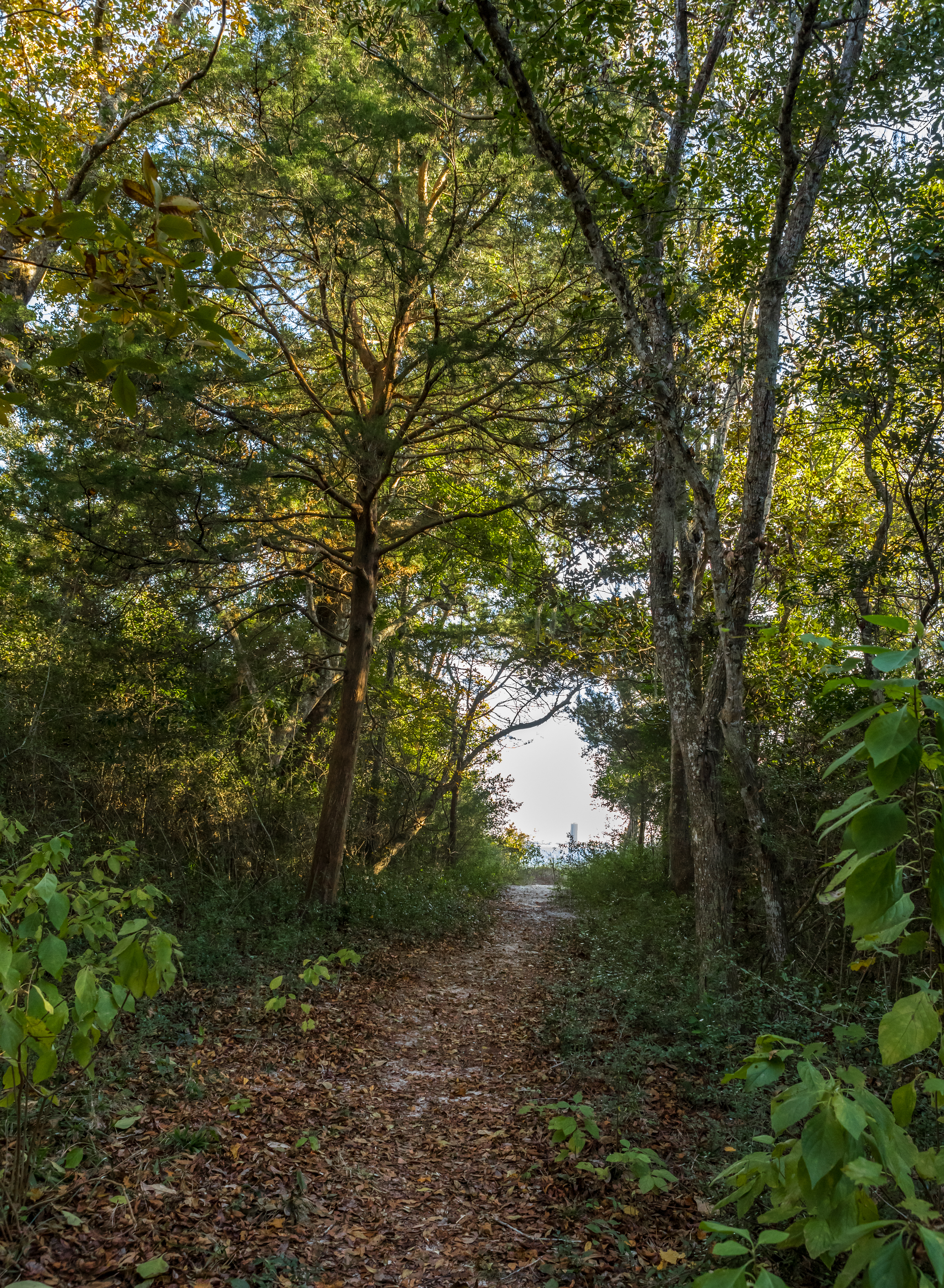Fishing Trail