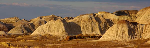 Late light on gray and purple badlands behind petrified logs under a lavender sky