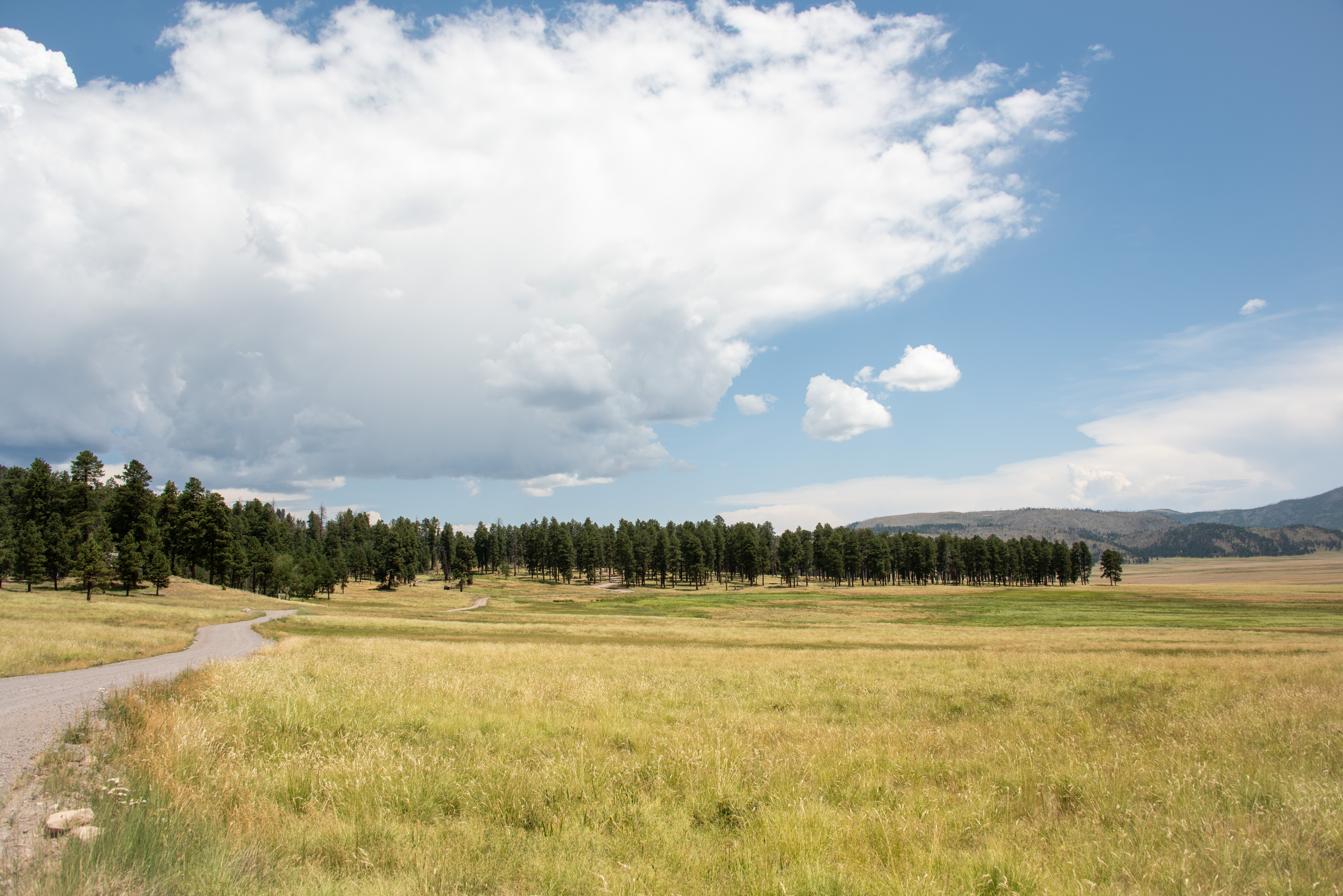 Hike to History Grove