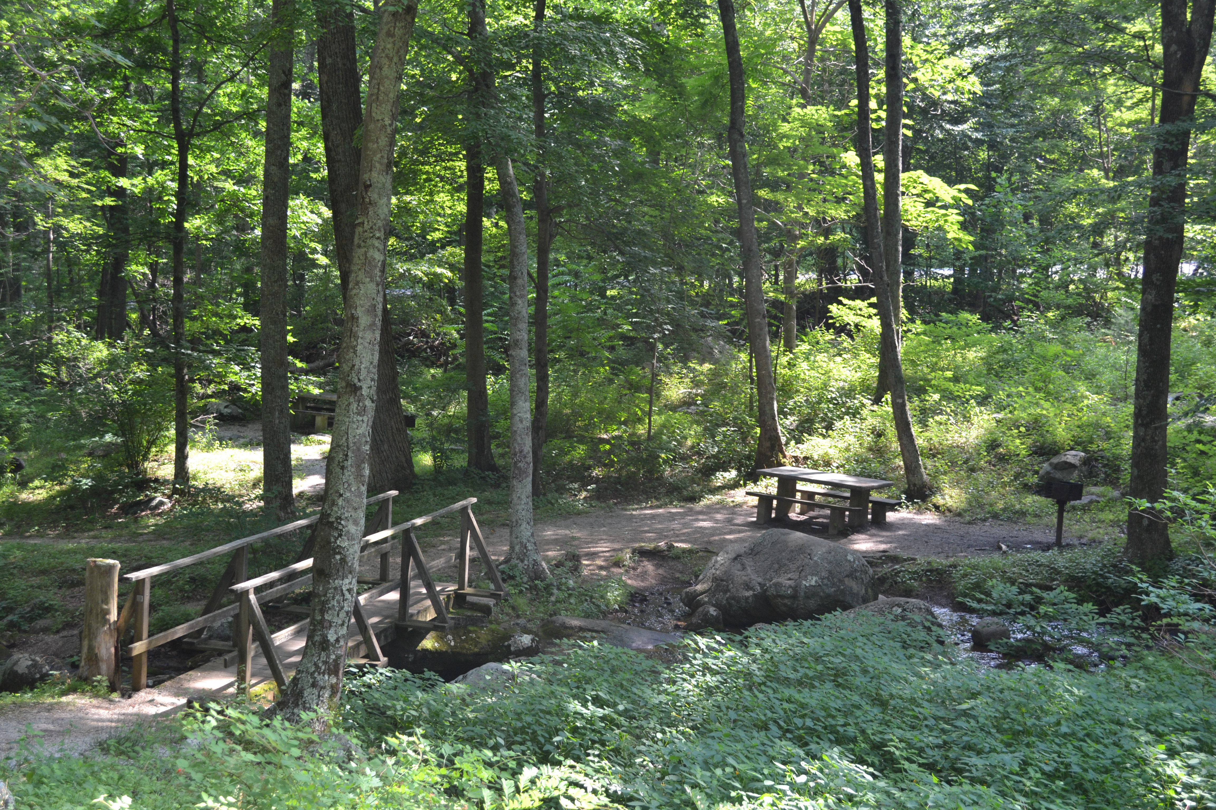 Blue Ridge Parkway - Peaks of Otter
