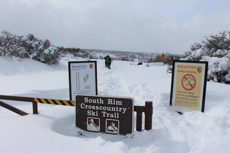 Cross-country Skiing at Black Canyon